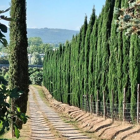 Camugnano Farm Βίλα Rapolano Terme Εξωτερικό φωτογραφία