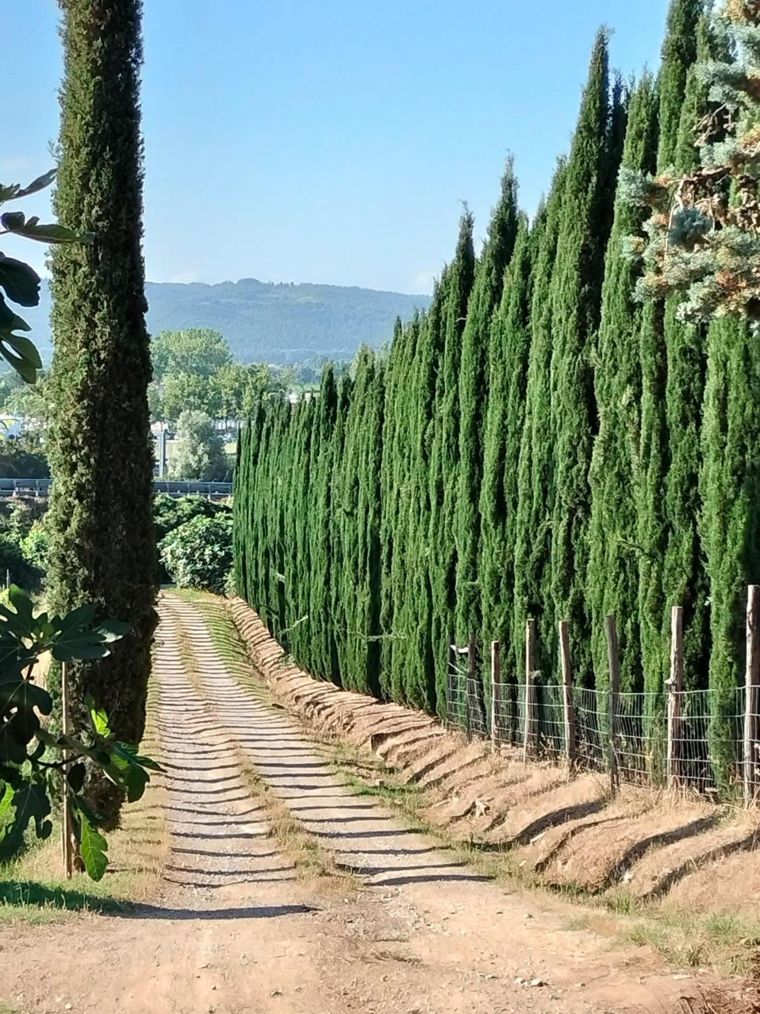 Camugnano Farm Βίλα Rapolano Terme Εξωτερικό φωτογραφία